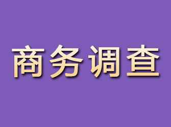 广安商务调查